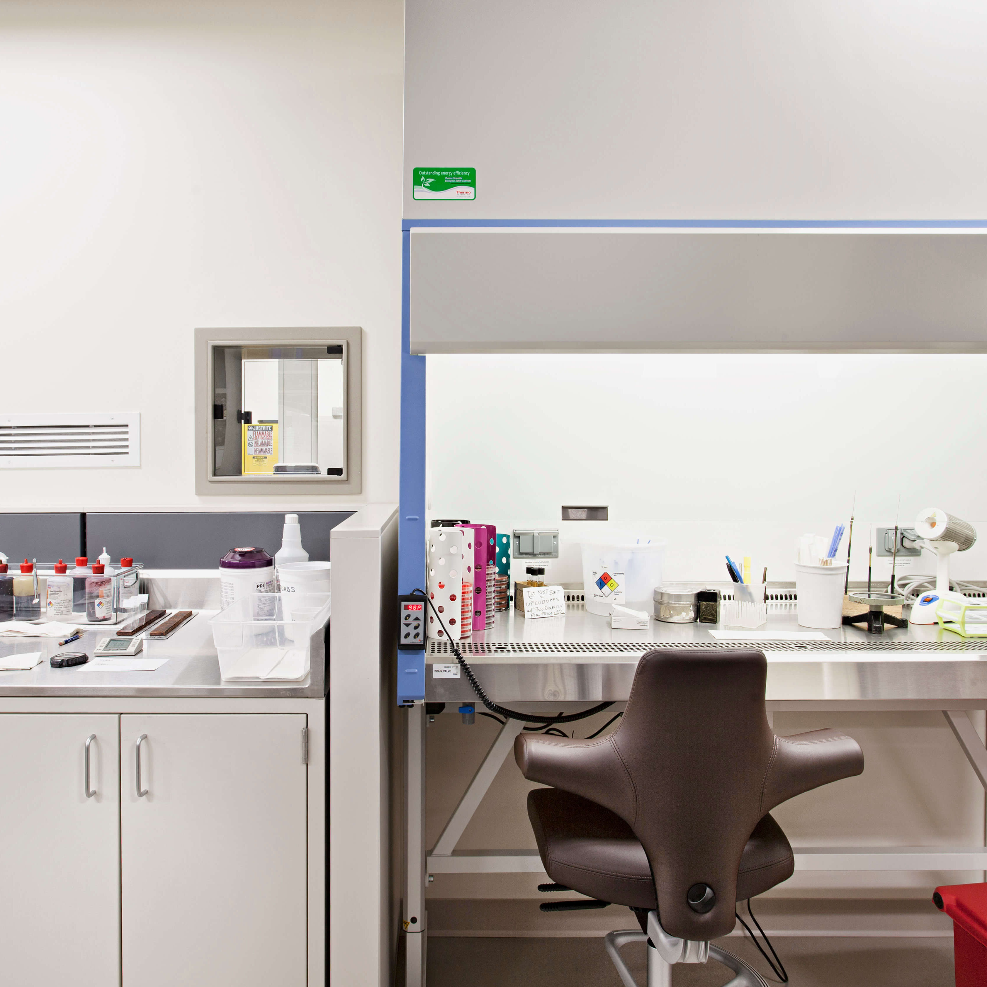 Lab