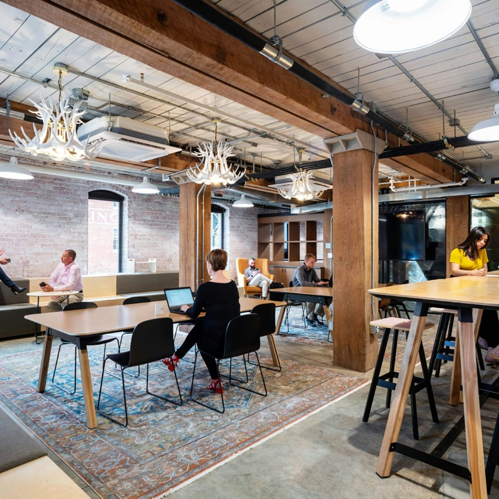 G-KNO_RUT_14982-jpg (1)